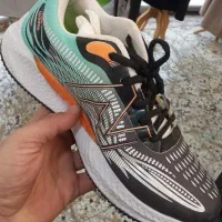 کتونی|کیف، کفش، کمربند|بجنورد, |دیوار