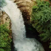 فروش فوری زمین مسکونی