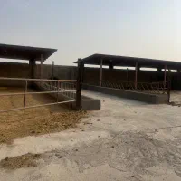 نیروی کار و سرایدار