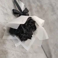 اوقات فراغت|گل و گیاه طبیعی|سبزوار, باهنر|دیوار