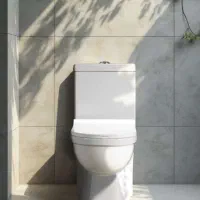 توالت فرنگی