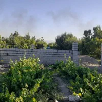 کارگر باغ باغبانی بیل زنی|خدمات باغبانی و درختکاری|ارومیه, |دیوار