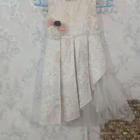 دون مجلسی
