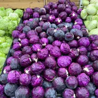 کارگر میوه فروشی باحقوق بالا وبیمه وغذا و جای خواب|استخدام خدمات فروشگاه و رستوران|کرج, باغستان|دیوار