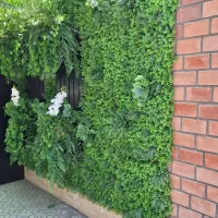 دیوارسبز با برگ مصنوعی برای تزئین اماکن شما|گل مصنوعی|تبریز, |دیوار