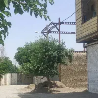 زمین-در-چاهشک-باغبان-27