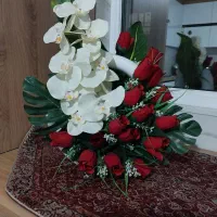 گل نو مناسب هدیه و دکوری