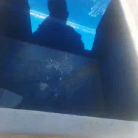 یخچال یا صندوق حمل ماهی و میگو|فروشگاه و مغازه|بندرعباس, |دیوار