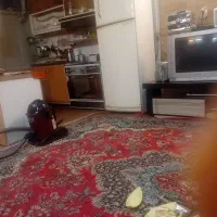 خانم انجام امور نظافت منزلرکوچک