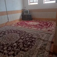 رهن / اجاره منزل همکف حیاط دار یه خوابه