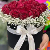 گل رز هلندی دیزاین باکس|گل و گیاه طبیعی|شیراز, بعثت|دیوار