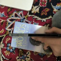 Iphone 13 Pro Max Zaa 256|موبایل|بابل, |دیوار