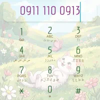 0913 110 0911