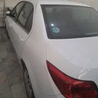 خودرودنا تیپ۲