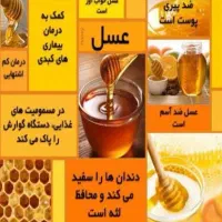 فیه شفاءللناس|خوردنی و آشامیدنی|تهران, دهم فروردین|دیوار