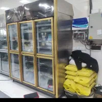 ( خریدار  )فر ریلی خمیر پهن کن یخچال سیخگیر گریل