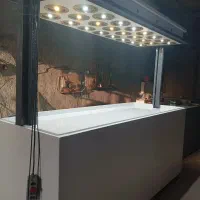 گاوصندوق آسانسوری و زیر ویترینی زرین کاوه