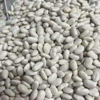 حبوبات|خوردنی و آشامیدنی|رشت, کوی فکوری|دیوار