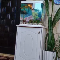 کمد زیر آکواریوم تمیز|ماهی|شهرضا, |دیوار