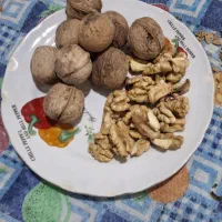 گردو محلی|خوردنی و آشامیدنی|فولادشهر, C4|دیوار