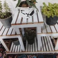 پایه گل|گل و گیاه طبیعی|سربیشه, |دیوار