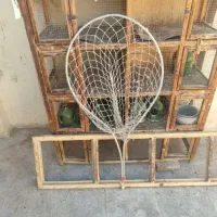 جفت کنی و جاآبی کبوتر