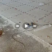 اوستاکار کاشی سرامیک سنگ موزایک سیمانکاری اجر ....