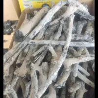 ذغال قلیان|کلکسیون و سرگرمی|مشهد, عامل|دیوار