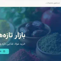 کسب‌وکارت رو با یک وب‌سایت حرفه‌ای متحول کن|خدمات رایانه‌ای و موبایل|مشهد, ملک‌آباد|دیوار