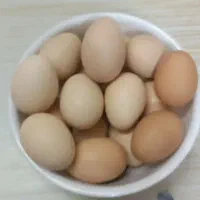 دانه۱۵تومان