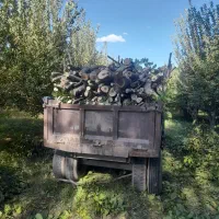 باسلام خریدارگردو سیب صنوبروغیر۰۰۰|خدمات باغبانی و درختکاری|نهاوند, |دیوار