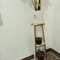 استند گل|گل و گیاه طبیعی|بیرجند, |دیوار