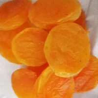 قیسی درجه ۱