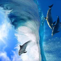 سقف کشسان (باریسول) کاپس|خدمات پیشه و مهارت|تبریز, |دیوار