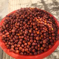 عناب تازه|خوردنی و آشامیدنی|ممقان, |دیوار