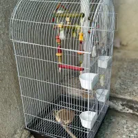 قفس پرنده با وسایل