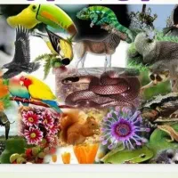 پاورپوینت های  دروس زیست شناسی پایه هفتم تا نهم