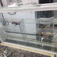 ویترین سیگاری و خوراکی