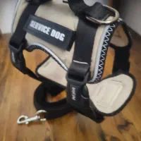 قلاده برس سگ|لوازم جانبی حیوانات|شیراز, وحدت|دیوار