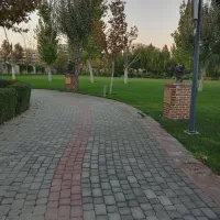 طلا پیدا شده