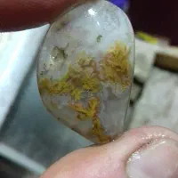 سنگ قیمتی شجر|جواهرات|رشت, سعدی (تختی)|دیوار