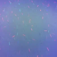 کاغذ پاپیروس جوهر نامرئی|لوازم التحریر|زاهدان, |دیوار