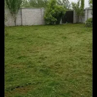 خدمات باغی چمنزنی علفزنی علفتراشی لی زنی تمشک زنی|خدمات باغبانی و درختکاری|رشت, گیل|دیوار