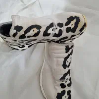 کفش اسپرت وارداتی|کیف، کفش، کمربند|نیشابور, امام|دیوار