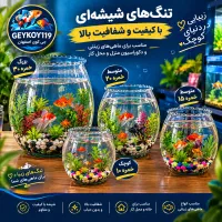 شیشه و بلوریجات