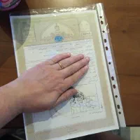 ۲۰۶مدل۸۴ فرانسه