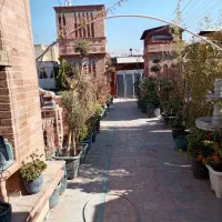 گل وگیاه|گل و گیاه طبیعی|شیراز, بازار|دیوار