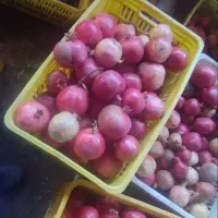 انار طارم|خوردنی و آشامیدنی|گیلوان, |دیوار