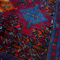 قالی دستباف رنگ گیاهی|فرش|سنندج, |دیوار