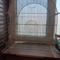 ۴ عدد قفس پرنده با هم ۴۵۰